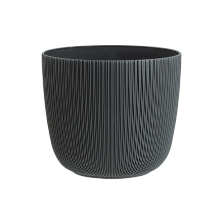 Саксия Виола Ф18  10589