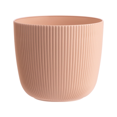 Саксия Виола Ф25  10591