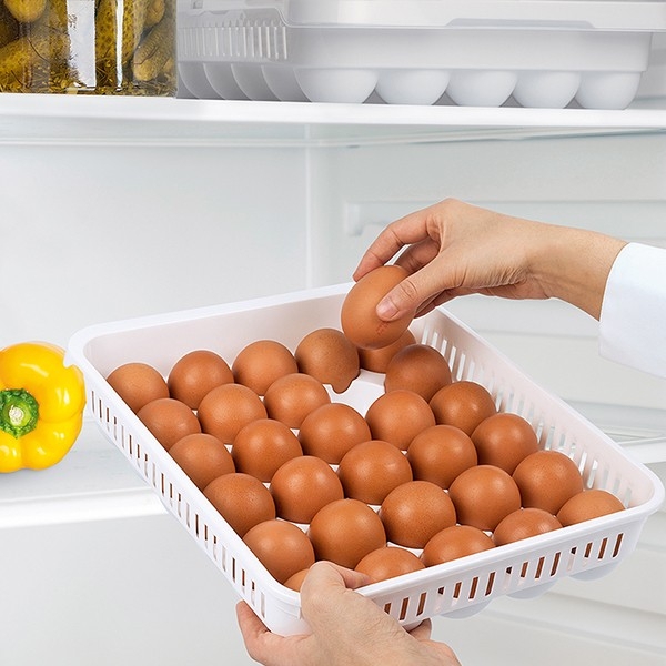 Кутия за яйца  Hobby Life  30 бр  10478