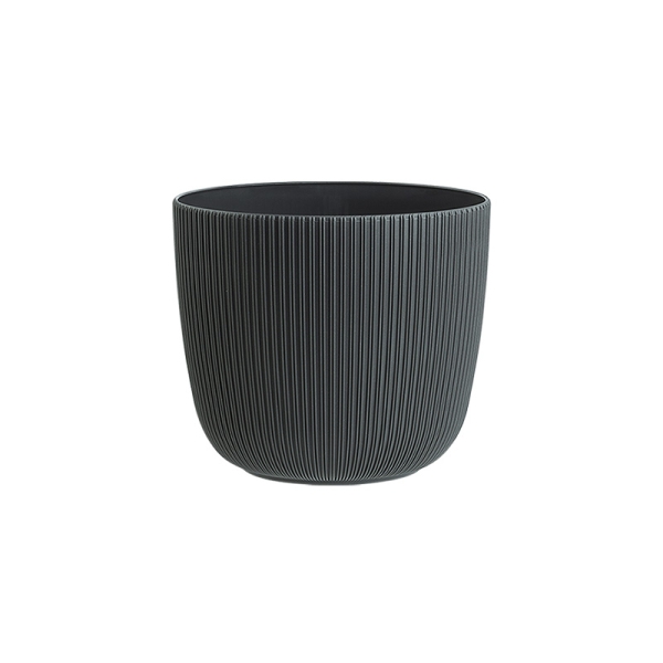 Саксия Виола Ф12  10587