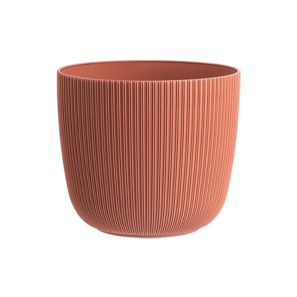 Саксия Виола Ф18  10589