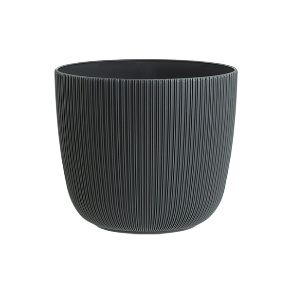 Саксия Виола Ф21  10590