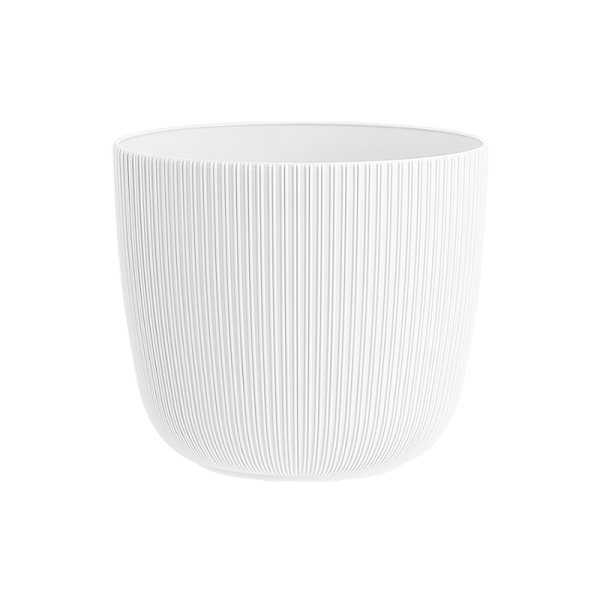 Саксия Виола Ф15  10588