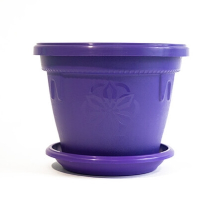 Саксия Далия Ф25  10711