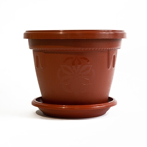 Саксия Далия Ф25  10711