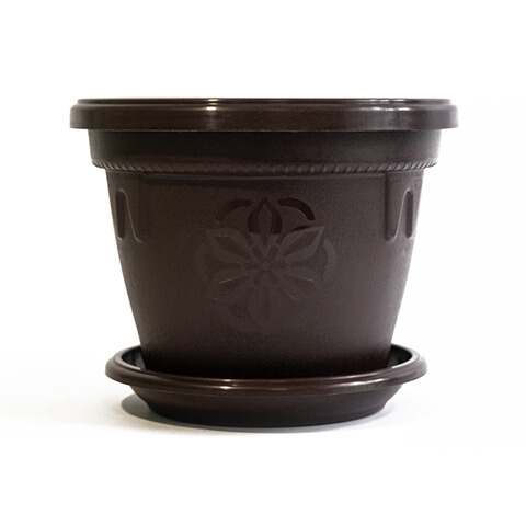 Саксия Далия Ф25  10711