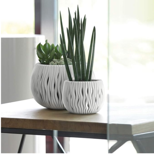 Саксия Sandi Ф18 10257