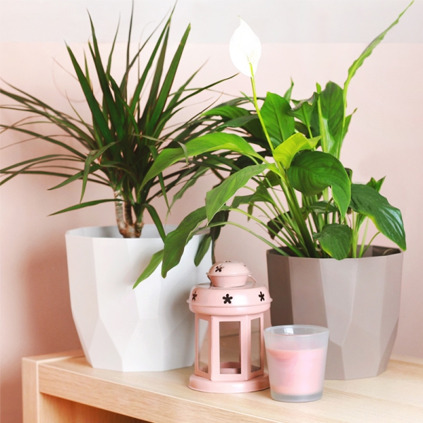 Кашпа Геа Ф16  10611