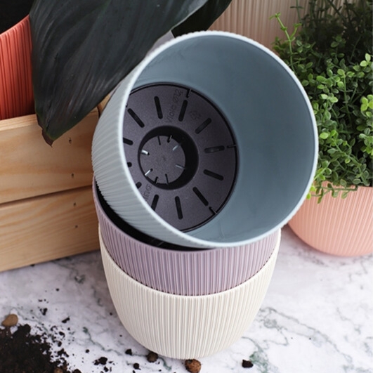 Саксия Виола Ф21  10590