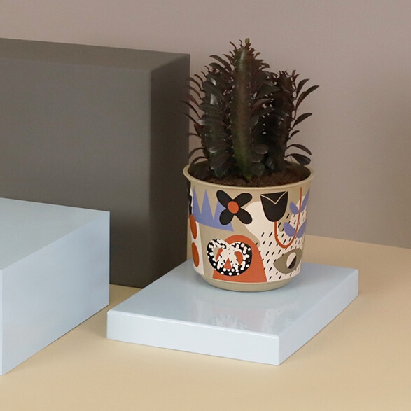 Саксия Aртина Ф12 см 10592