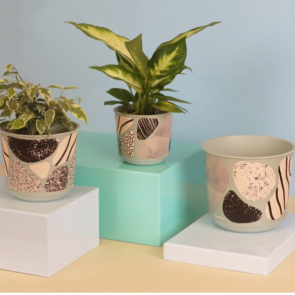 Саксия Aртина Ф15 см 10593