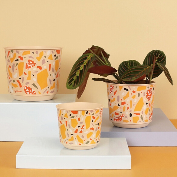 Саксия Aртина Ф15 см 10593