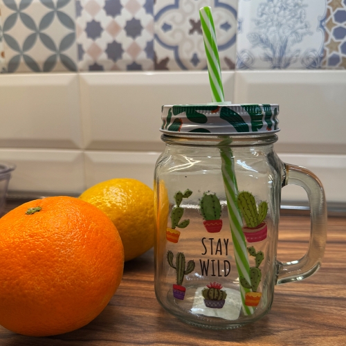 Буркан със сламка Cactus 0.500 л - модел 11227