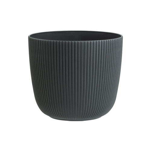 Саксия Виола Ф15  10588