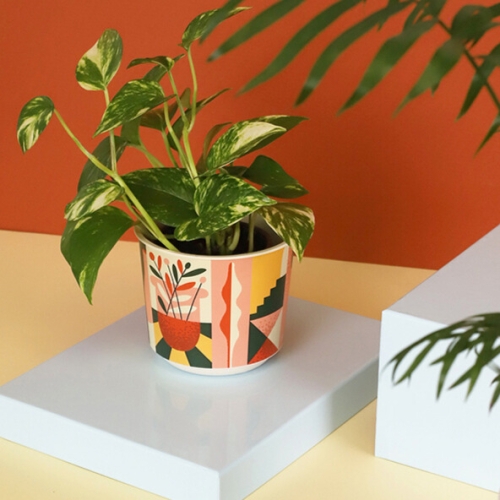 Саксия Aртина Ф15 см 10593