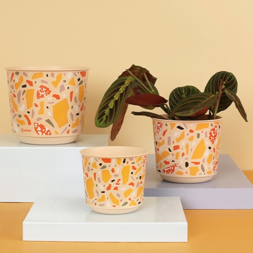 Саксия Aртина Ф18 см 10594